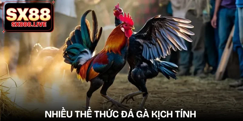 da-ga-988-the-thuc