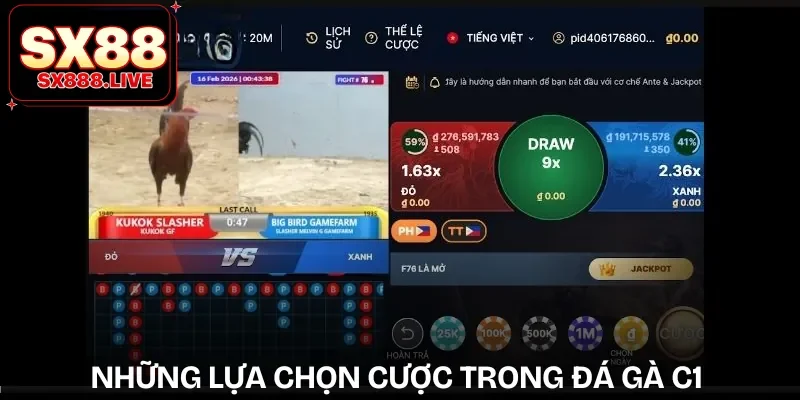 da-ga-c1-chau-au-hinh-thuc