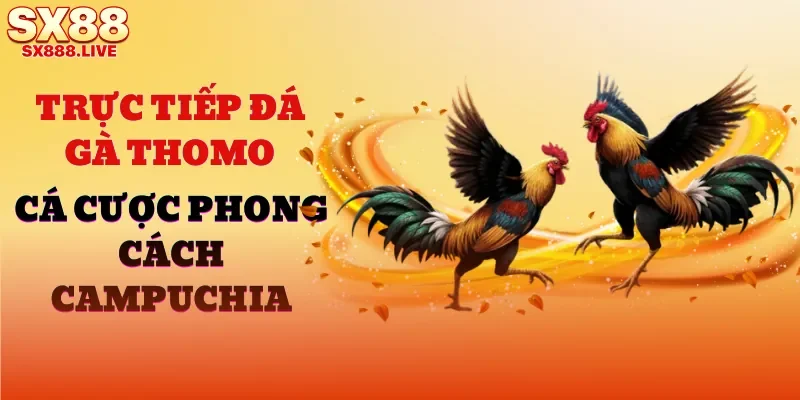 truc-tiep-da-ga-thomo